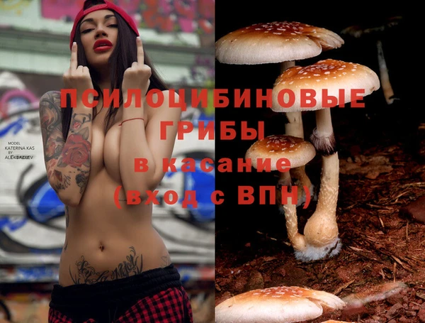 прущие крисы Баксан
