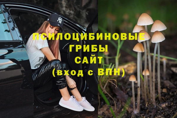 экстази Сатка