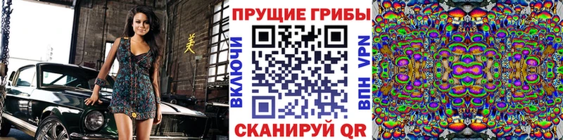 купить   Короча  Галлюциногенные грибы MAGIC MUSHROOMS 