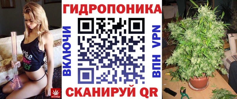 Канабис планчик Короча